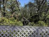 7452 Live Oak Road - Photo 16