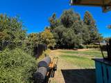 1276 Dale Way - Photo 13