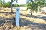 Lot 27 The Oaks Drive - Photo 2