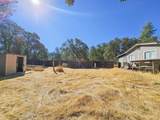 15828 El Dorado Drive - Photo 20