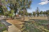 1214 Marin Street - Photo 48