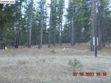 698-940 Old Scotts Logging Road - Photo 1