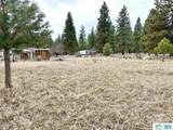 000 Chestnut Way - Photo 1