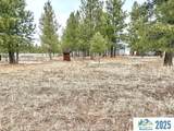 000 Chestnut Way - Photo 3