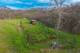 14445 Green Valley Acres Drive - Photo 43