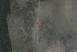 019-260-018 Lone Pine Trail - Photo 3