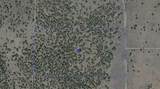 00 Lone Pine Trail - Photo 3
