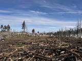 434-100 Diamond Mtn Rd - Photo 12