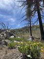 434-100 Diamond Mtn Rd - Photo 42