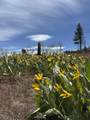 434-100 Diamond Mtn Rd - Photo 43