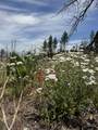 434-100 Diamond Mtn Rd - Photo 44