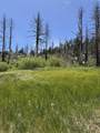 434-100 Diamond Mtn Rd - Photo 45