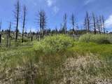 434-100 Diamond Mtn Rd - Photo 46