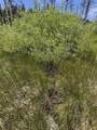 434-100 Diamond Mtn Rd - Photo 48