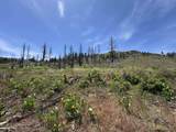 434-100 Diamond Mtn Rd - Photo 52