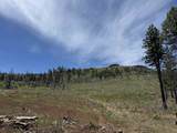434-100 Diamond Mtn Rd - Photo 53