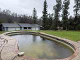 8947 Olney Park Drive - Photo 44