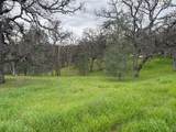 17107 Muledeer Drive - Photo 2
