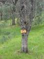 17107 Muledeer Drive - Photo 3