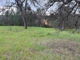 17107 Muledeer Drive - Photo 4