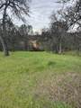 17107 Muledeer Drive - Photo 7