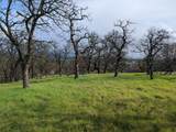 000 Knob Hill Place - Photo 6