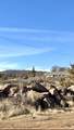 697-850 Cheney Creek - Photo 53