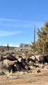 697-850 Cheney Creek - Photo 54
