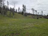 00 Red Bank Road - Photo 13