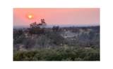  Penneleme Road - Photo 10