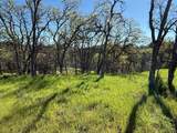 16438 Longhorn Lane - Photo 5