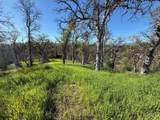7131 Coyote Point - Photo 2