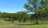 3.62 Acres Deer Crest Trail - Photo 4