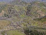 00 Tedoc Road - Photo 2