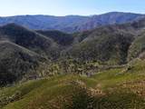00 Tedoc Road - Photo 4