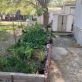 11705 SP 9 Parey Avenue - Photo 12