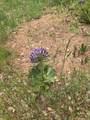 6548 Oak Street - Photo 2