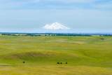 00 Rancho Tehama Rd. - Photo 2