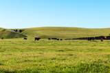 00 Rancho Tehama Rd. - Photo 7