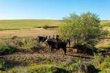 00 Rancho Tehama Rd. - Photo 8