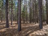 6809 Linville Dr - Photo 8