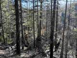 00 Gold Run Road - Photo 1