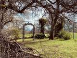 19015 Bonita Road - Photo 38