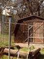 19015 Bonita Road - Photo 39