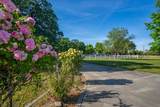 14410 Paynes Creek Road - Photo 44