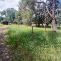 14655 Betz Lane - Photo 13