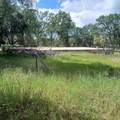 14655 Betz Lane - Photo 16