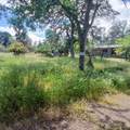 14655 Betz Lane - Photo 18