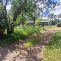 14655 Betz Lane - Photo 2