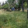 14655 Betz Lane - Photo 20
